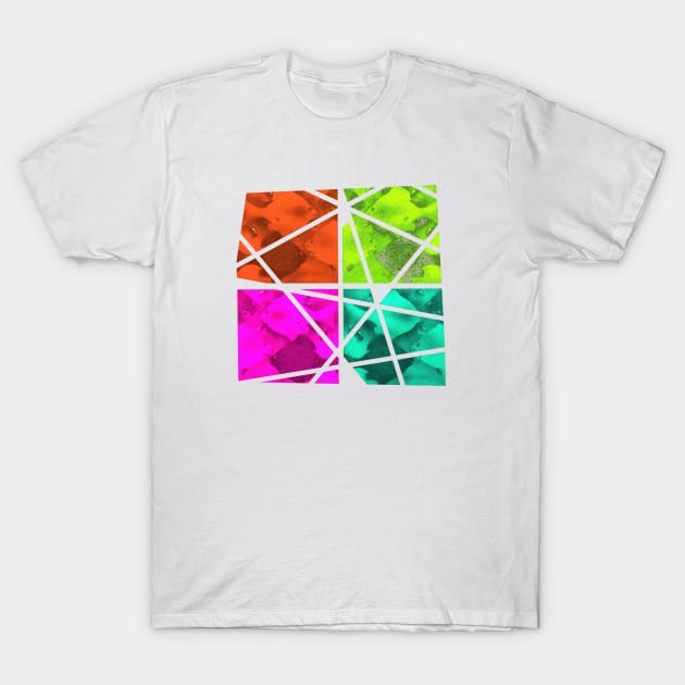 Pieces of Fish T-Shirt by Alan Hogan